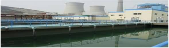 澳门免费原料网大全