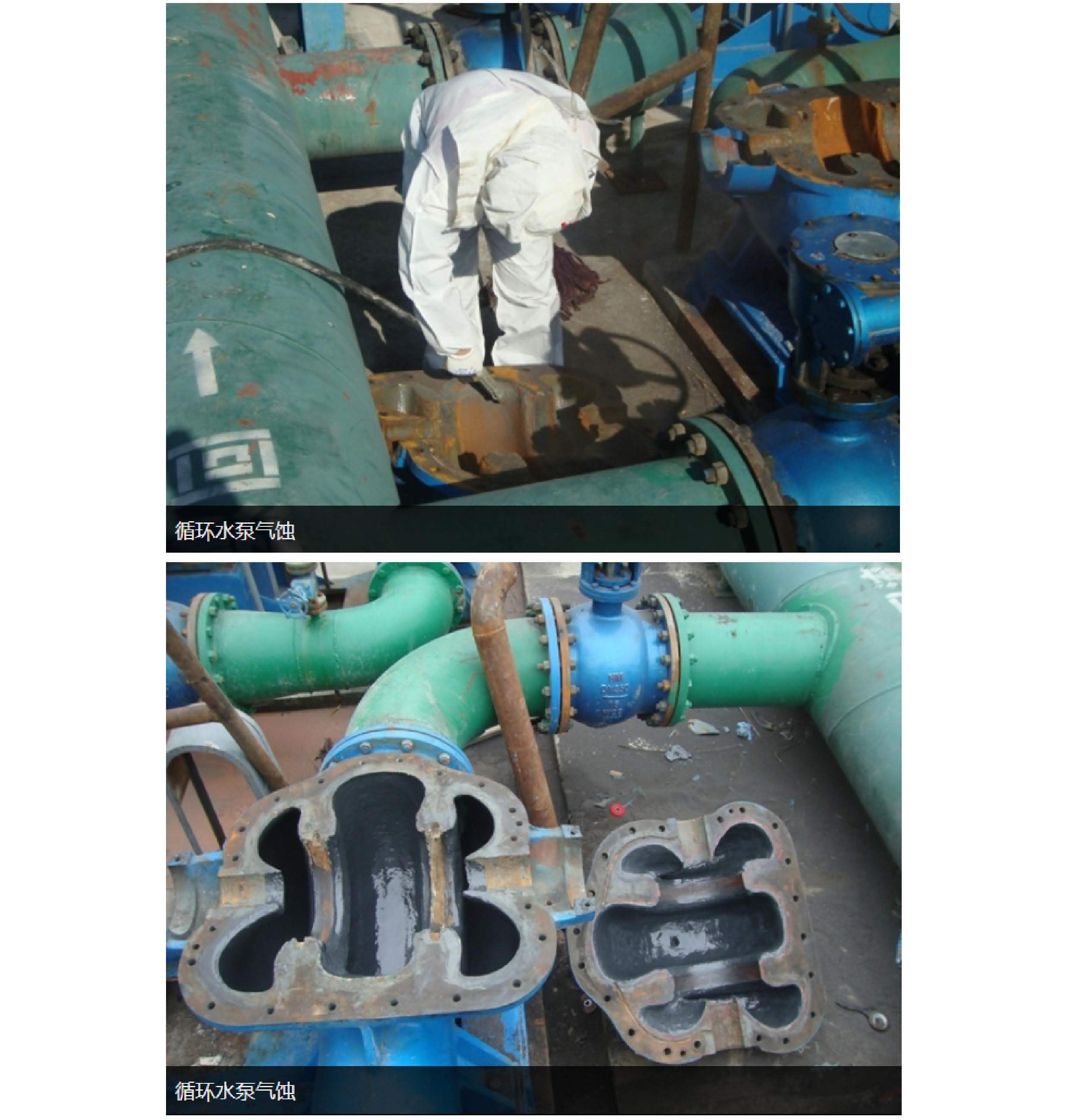 澳门免费原料网大全