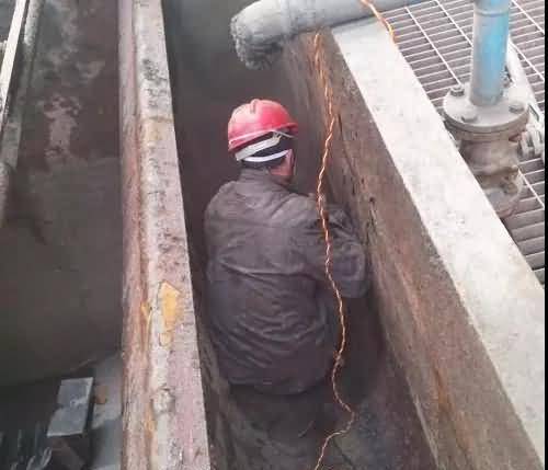 澳门免费原料网大全