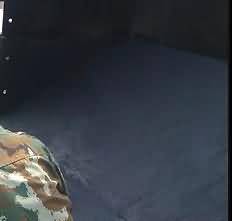 澳门免费原料网大全